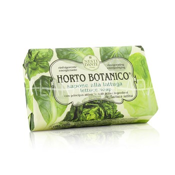 NESTI DANTE Horto Botanico Lettuce